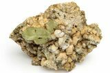 Lustrous, Yellow Apatite Crystals With Feldspar - Morocco #221041-1
